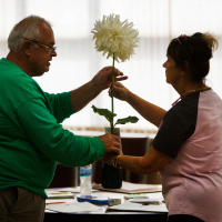 Shows-HM-Billeyer-C. Craig and S. Prusinski prepare a dahlia