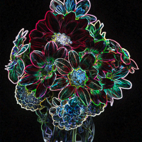 1st Place-Digital Darkroom- Blacklight at Night - Louise Henriksen
