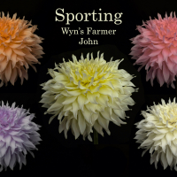 2nd Place-Digital Darkroom - Sport of Wyn’s Farmer John - Trevor Hoff
