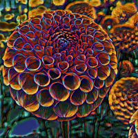 3rd Place-Digital Darkroom - Ferncliff Rusty - Susie Sziklai