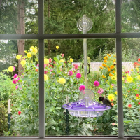 2nd Place  Class 4  Garden Window  Anne Maria Jacobson