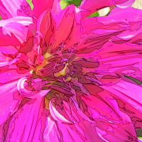 3rd Place  Class 8  Pencil Art  Dahlia - Purple Taiheijo Robert Leonelli