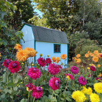 HM  Class 4  Garden  Alysia Obina