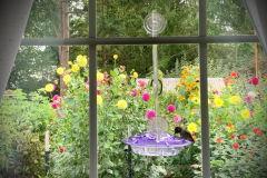 2nd Place  Class 4  Garden Window  Anne Maria Jacobson