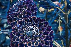 Honorable Mention-Blue Dahlia-Louise Henriksen