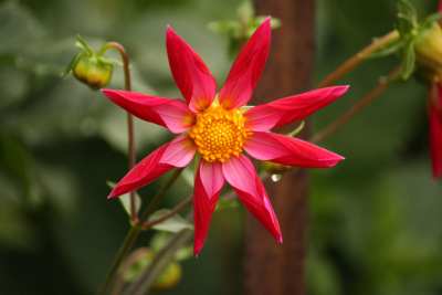 Class 1 - 3rd Place, April Adams