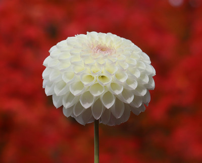 Class 1-HM-Kay-Mackey