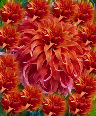 Class-10-3rd-Place-Quamrun-Eldridge