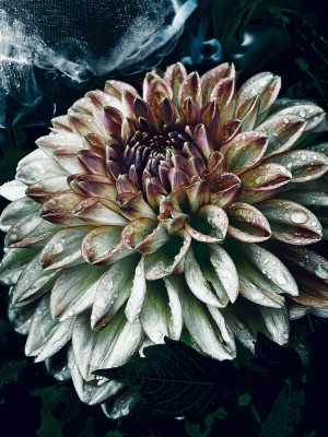 Class-10-HM-Erica-Cheresh