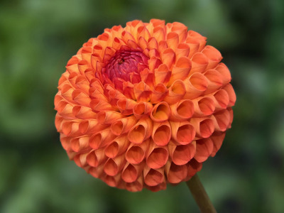 Class-2-3rd-Place-Irish-Gnome-Mike-Kangas