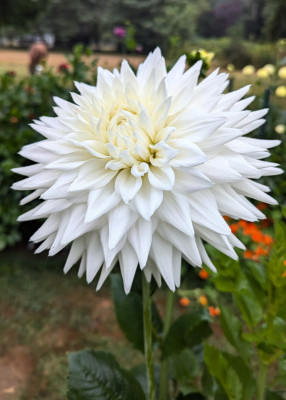 Class2-HM-Clearview-Edie-Christine-Tareen