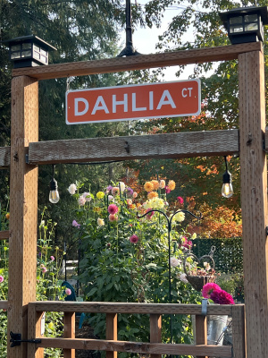 Class-4-1st-Place-Carrie-Paquette