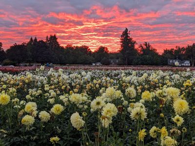 Class-4-2nd-Place-Richard-Blake
