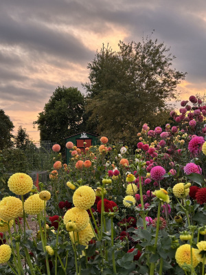 Class-4-3rd-Place-Michael-Burns