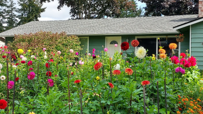 Class-4-HM-Sunny-Garden-Elijah-Olson