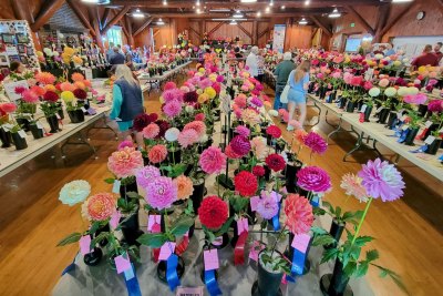 Class-5-2nd-Place-Snohomish-DS-Kay-McMullin