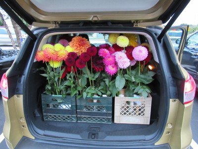 Class-5-HM-Arthur-Haskin