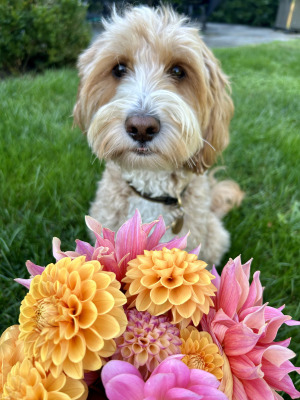 Class-8-2nd-Place-Sohini-Rath