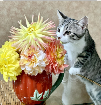 Class-8-3rd-Place-Robin-Olexa