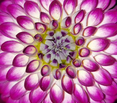 Class-9-1st-place-Spiral-Alysia-Obina