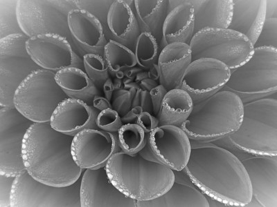 Class-9-3rd-Place-Shadow-Droplets-Christine-Tareen