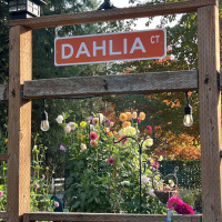 Class-4-1st-Place-Carrie-Paquette