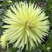 Class-1-1st-Place-Larry-Smith