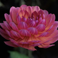 Class-1-2nd-Place-Laia-Solen