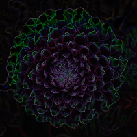 Class-10-1st-Place-Alysia-Obina-Geometryx