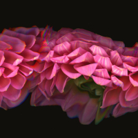 Class-10-2nd-Place-Brianna-O-Halloran