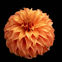 Class-2-1st-Robert-Leonelli-Bloomquist-Jean