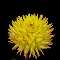 Class-2-3rd-Place-Todd-Imhoff