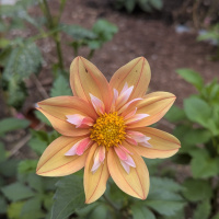 Class 1 - HM - Maddy McCroskey