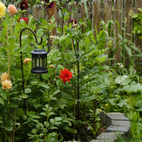 Class-4-2nd-Place-Brittany-Canfield-Garden-Stroll