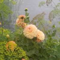 Class-4-3rd-Place-Thomas-See-Denver-Botanical-Garden