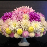 Class-6-2nd-Place-Vicki-Baulig-Dahlia-Cake