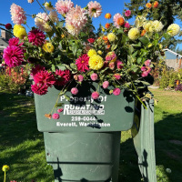 Class-6-3rd-Place-Anne-Maria-Jacobson-Last-bouqet-of-the-season