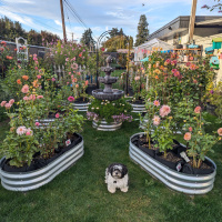 Class-8-HM-Cindy-Harris