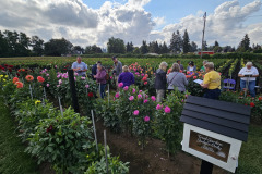2024 Canby Judging Training Event