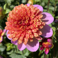 TG-32-Lake-Ki-Sunrise