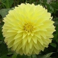 Clearview Del Sol at Pacific Northwest TG