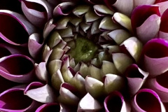 38-Untitled 3