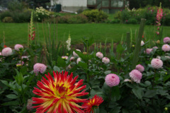 42-Weston Spanish Dancer