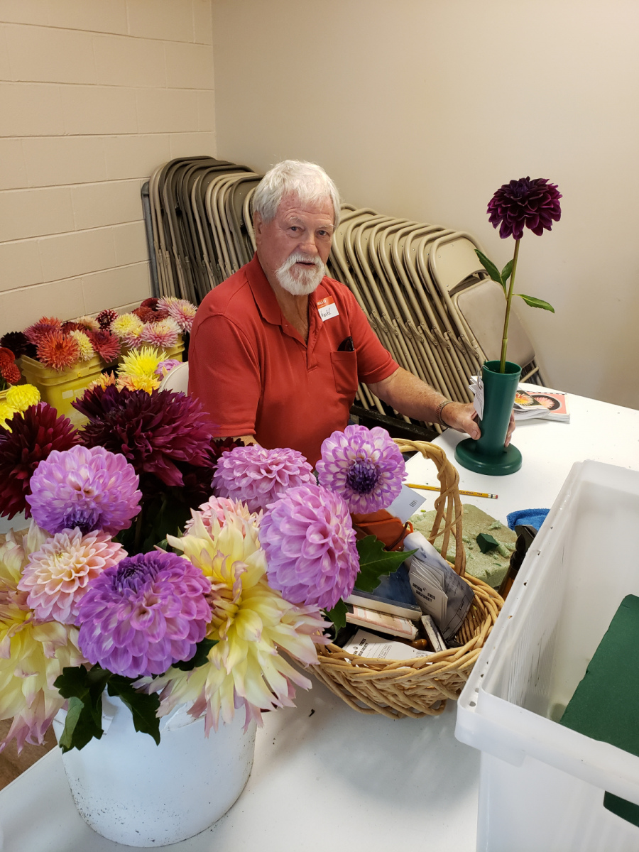 Dahlia Society of Tennessee, Harold Stewart Staging His Dahlias