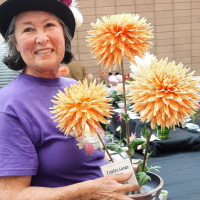 Dahlia Society of California