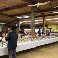 Monterey Bay Dahlia Society