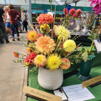 Colorado Dahlis Society, Best Arrangemens Open, Colorado Sunrise