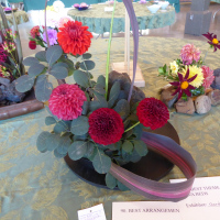 Douglas County Dahlia Society, Best Arrangement Gordon Jackman
