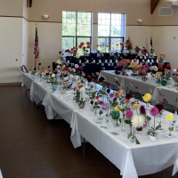 Central Coast Dahlia Society