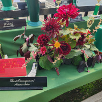Colorado Dahlias Society, Colorado Amateur Show, Winning Arrangement